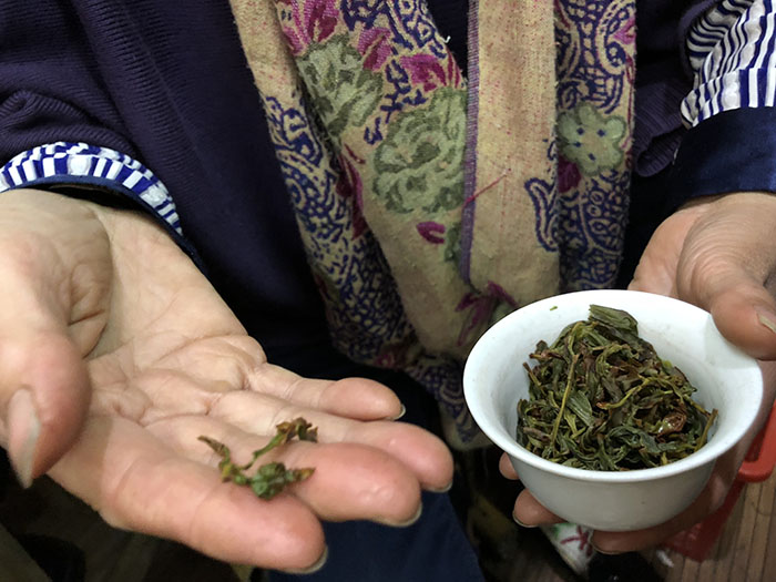 四百岭单从荒野茶18.jpg