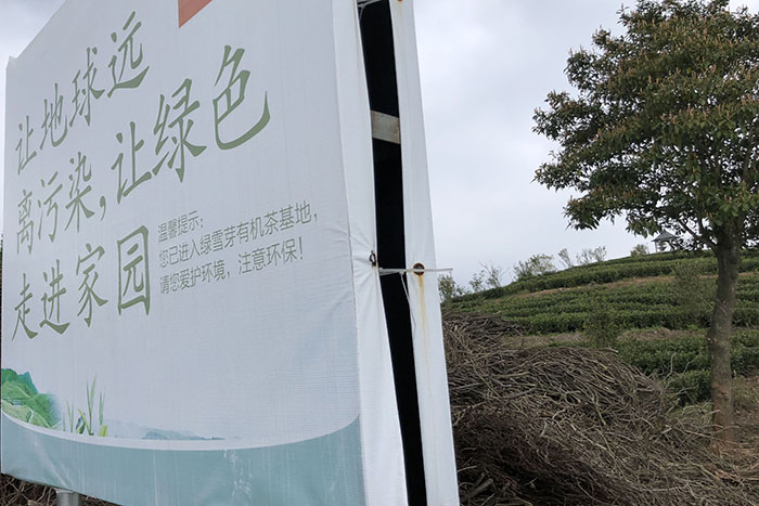绿雪芽庄园·环保远离污染绿色家园.jpg 绿雪芽庄园·环保远离污染绿色家园.jpg