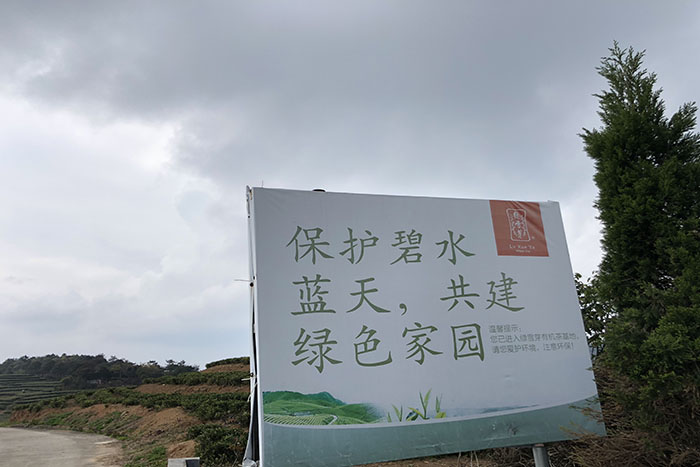 环保青山绿水.jpg