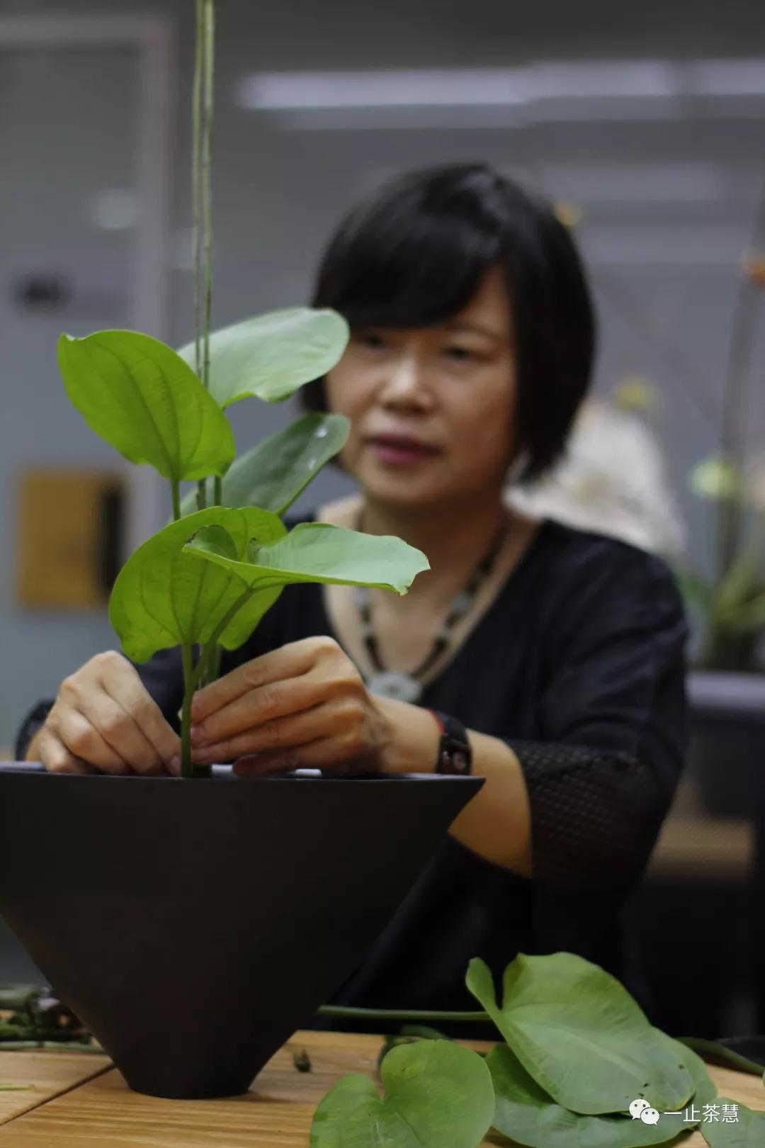 一止茶慧池坊花道.jpg 一止茶慧池坊花道.jpg
