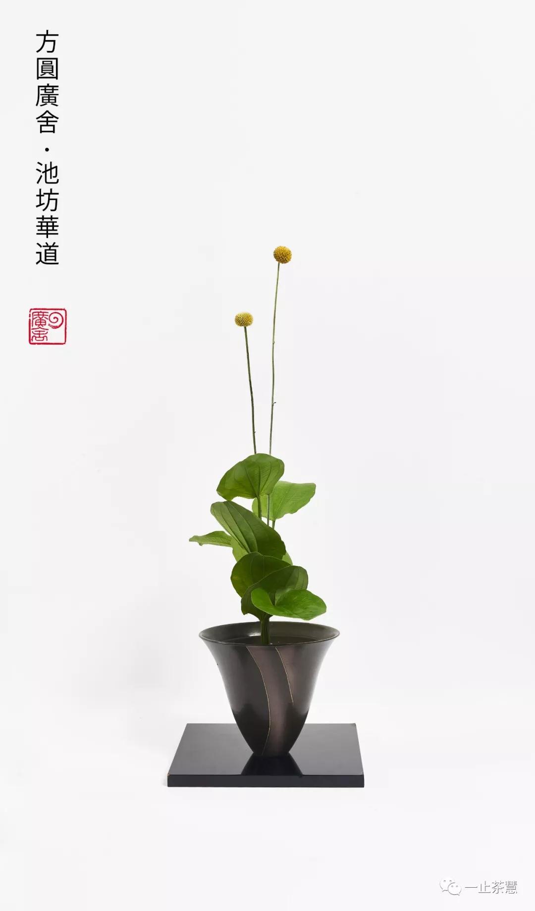 方圆广舍池坊花道.jpg 方圆广舍池坊花道.jpg