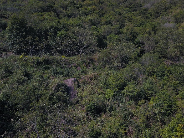 一止茶山饶平四壁岭.jpg 一止茶山饶平四壁岭.jpg